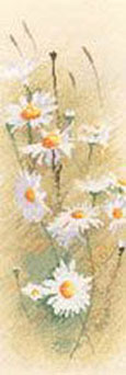 Flower Panels - Daisies 