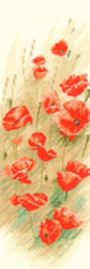 Flower Panels - Wild Poppies