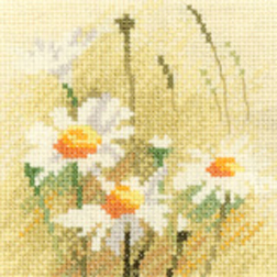 Mini Flowers - Daisies
