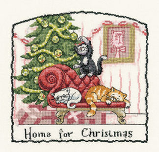 Cats Rule - Home for Christmas