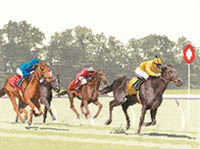 Sporting Scenes - Finishing Post