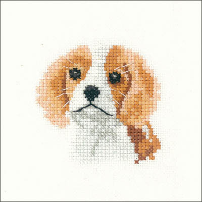 Spaniel Puppy - Little Friends Kit