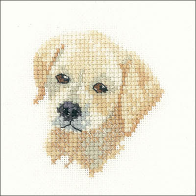 Golden Labrador Puppy - Little Friends Kit