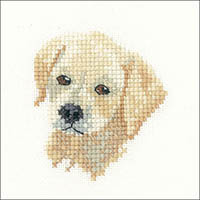 Golden Labrador Puppy - Little Friends Kit