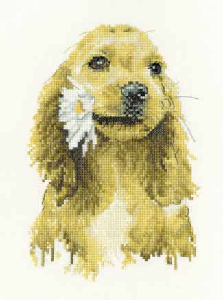 Daisy Crocker Spaniel Kit