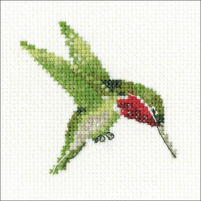 Hummingbird Kit