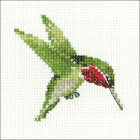 Hummingbird Kit