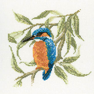 Kingfisher Kit