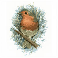 Robin Redbreast - Wildlife  Kit