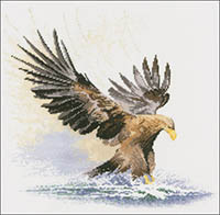 Eagle In Flight - Flights Of Fancy Kit