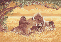 Lions - Power & Grace Kit