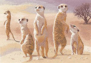 Power & Grace- Meerkats