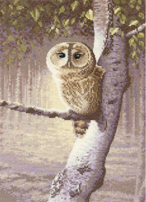 Night Watchman - Wildlife  Kit