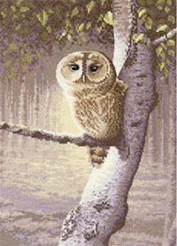 Night Watchman - Wildlife  Kit