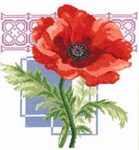 Warm Red Poppy