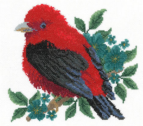 Scarlet Tanager