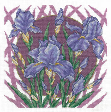 Spring Iris