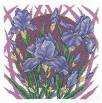 Spring Iris
