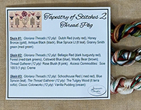 Tapestry of Stitches 2