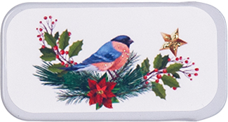 Merry Star Bird Bead Hide Tin