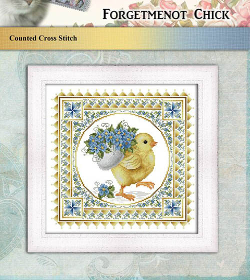 Forget-me-not  Chick