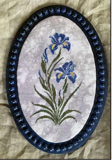 Blue Iris