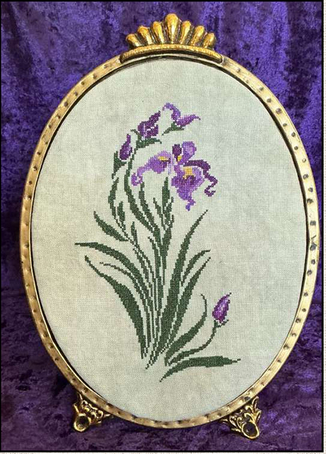 Purple Iris