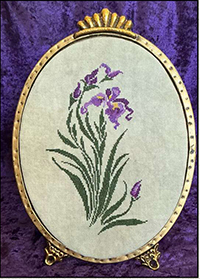 Purple Iris