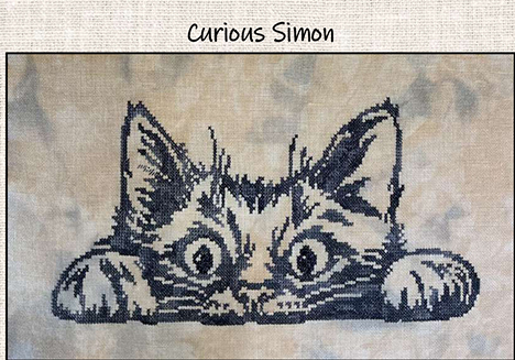 Curious Simon