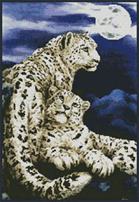 Nocturne