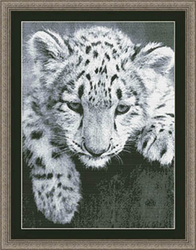 Black and White Snow Leopard Cub