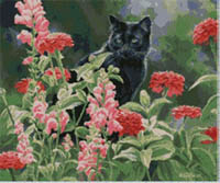 Max In The Zinnias