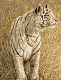White Light (Tiger)