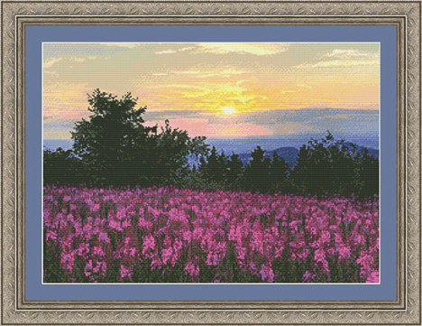 Fireweed Fields