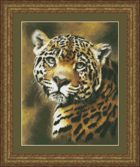 Jaguar Portrait