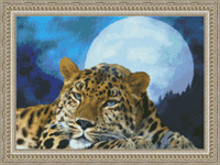 Leopard Moon