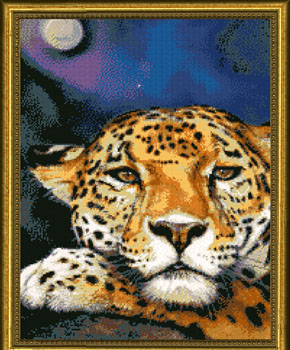 Jaguar Moon