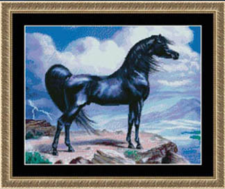 Black Stallion                       
