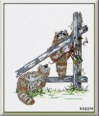 Raccoons                          