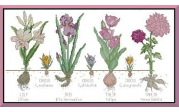 Botanical Flowers