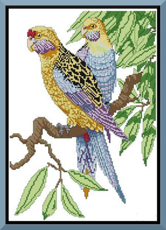 Parrots