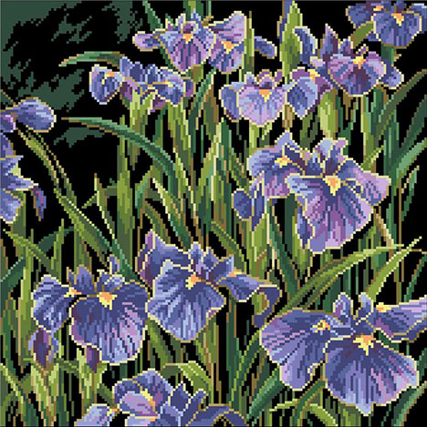 Irises