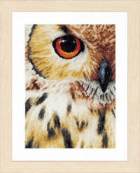 Owl Kit