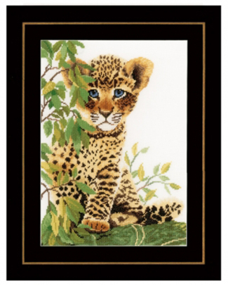 Little Leopard Kit