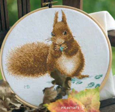 Squirrel Kit