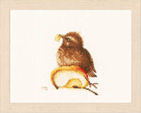 Young Blackbird by Marjolein Bastin Kit