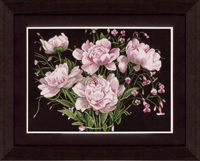 Helleborus Pink Roses Kit 