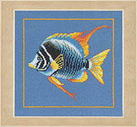 Fire Zebra Fish Kit