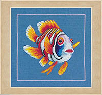 Jolly Nemoa Fish Kit