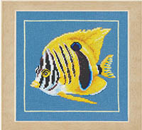 Yellow Zebra Fish Kit